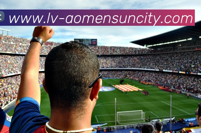 太阳城娱乐服务体系